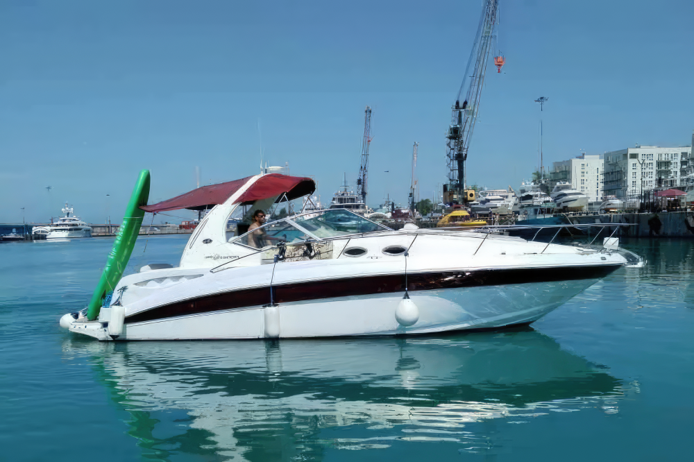 «Элис» Sea Ray 355