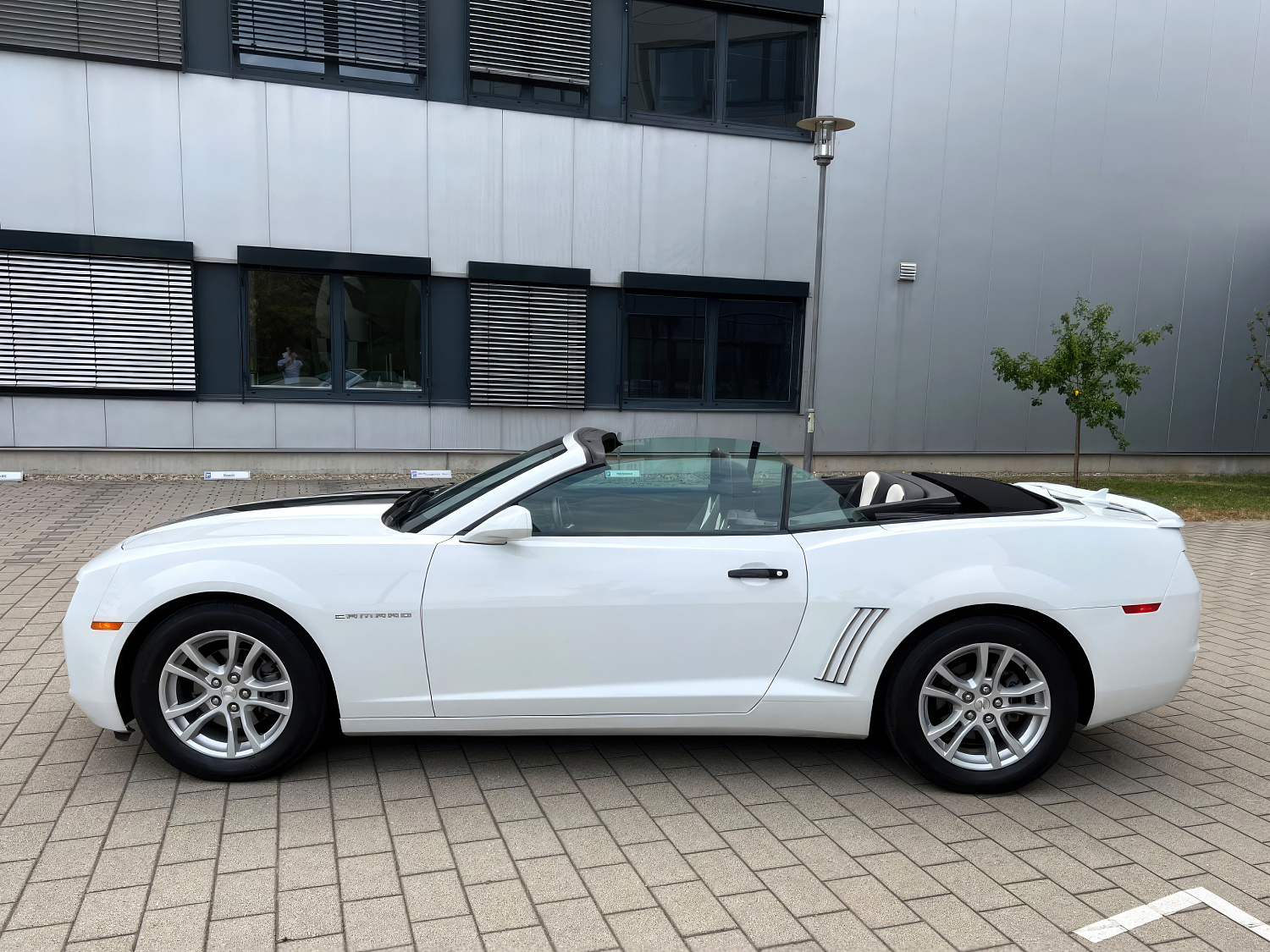 Chevrolet Camaro Белый 2