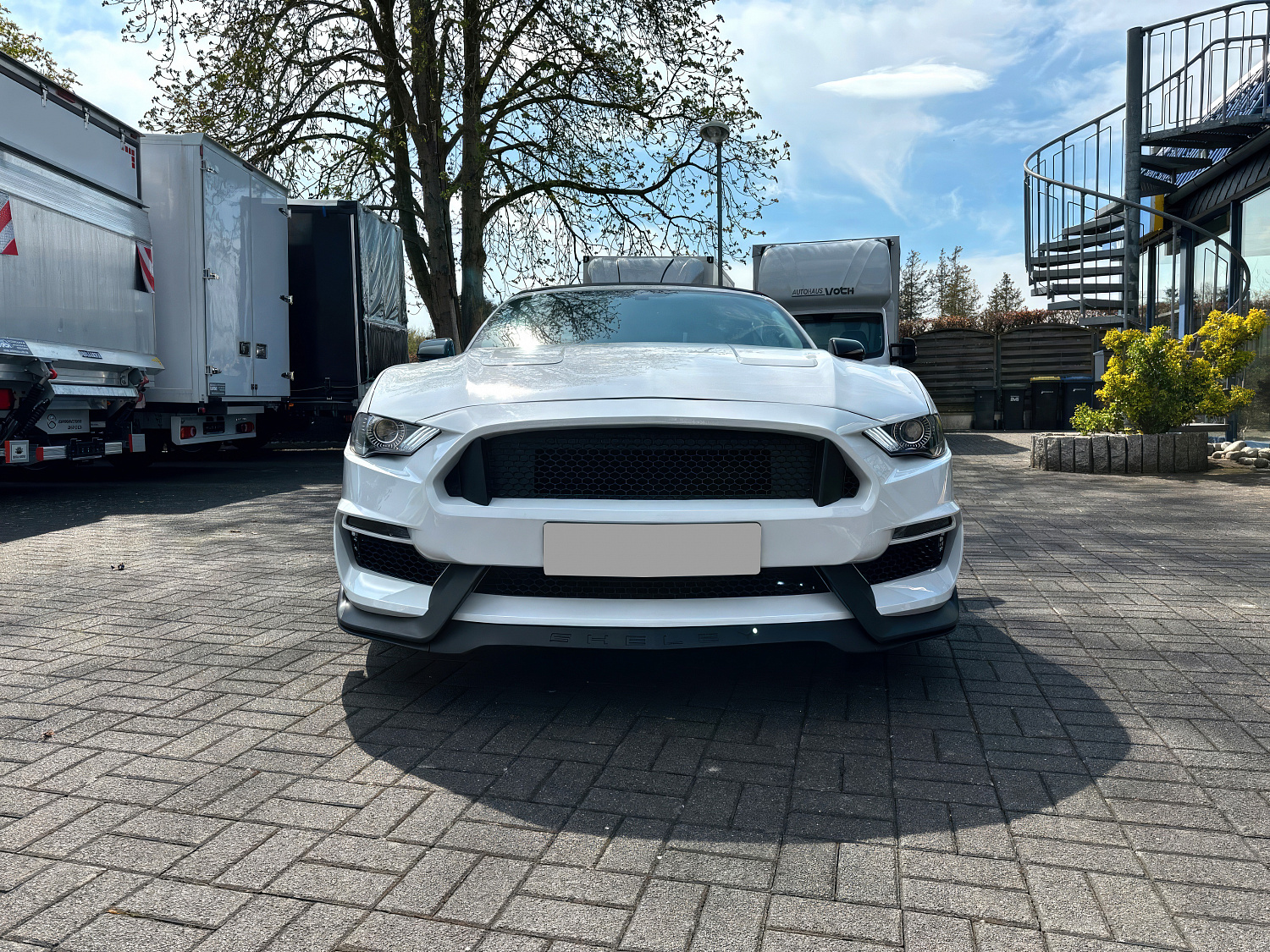 Ford Mustang Белый