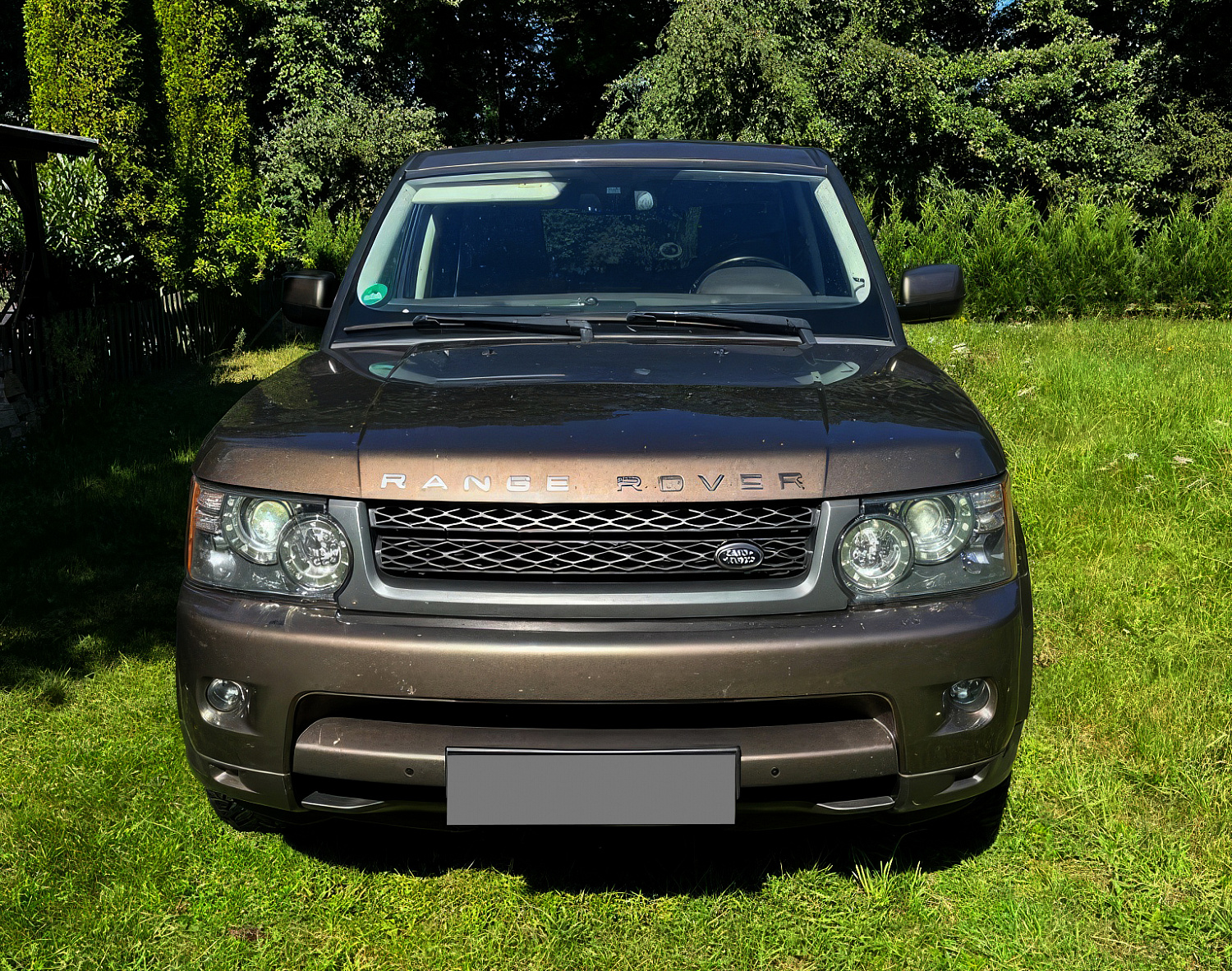 Range Rover Sport Коричневый