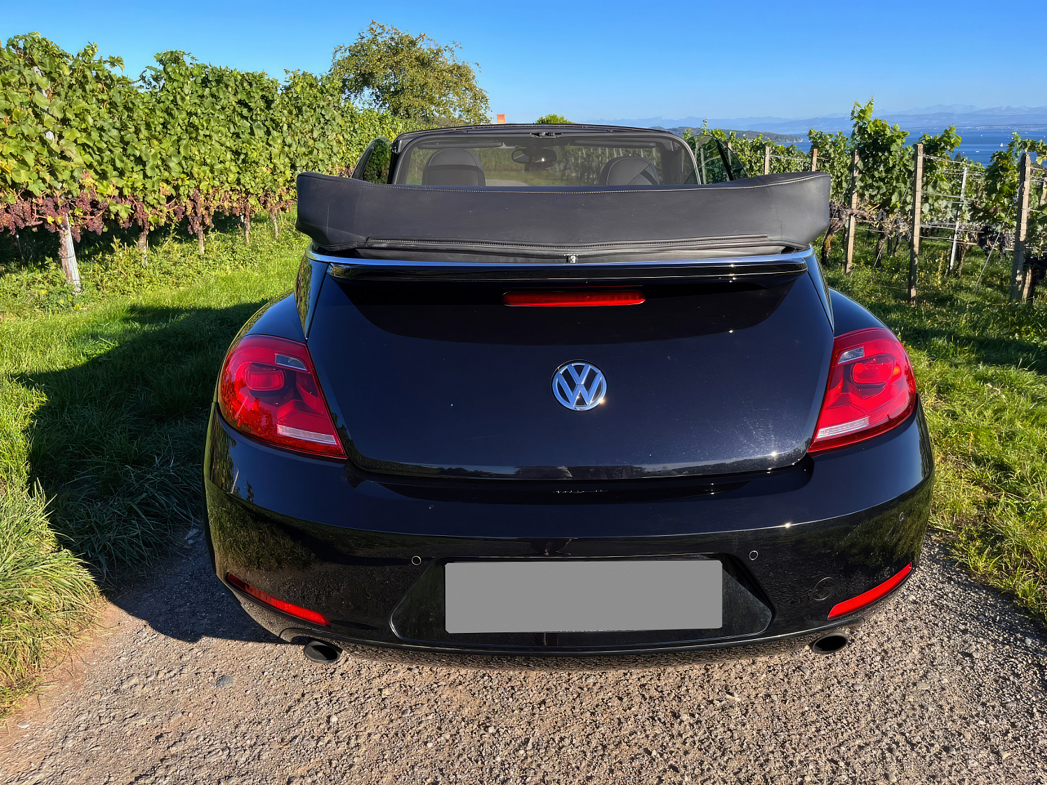 Volkswagen Beetle Черный