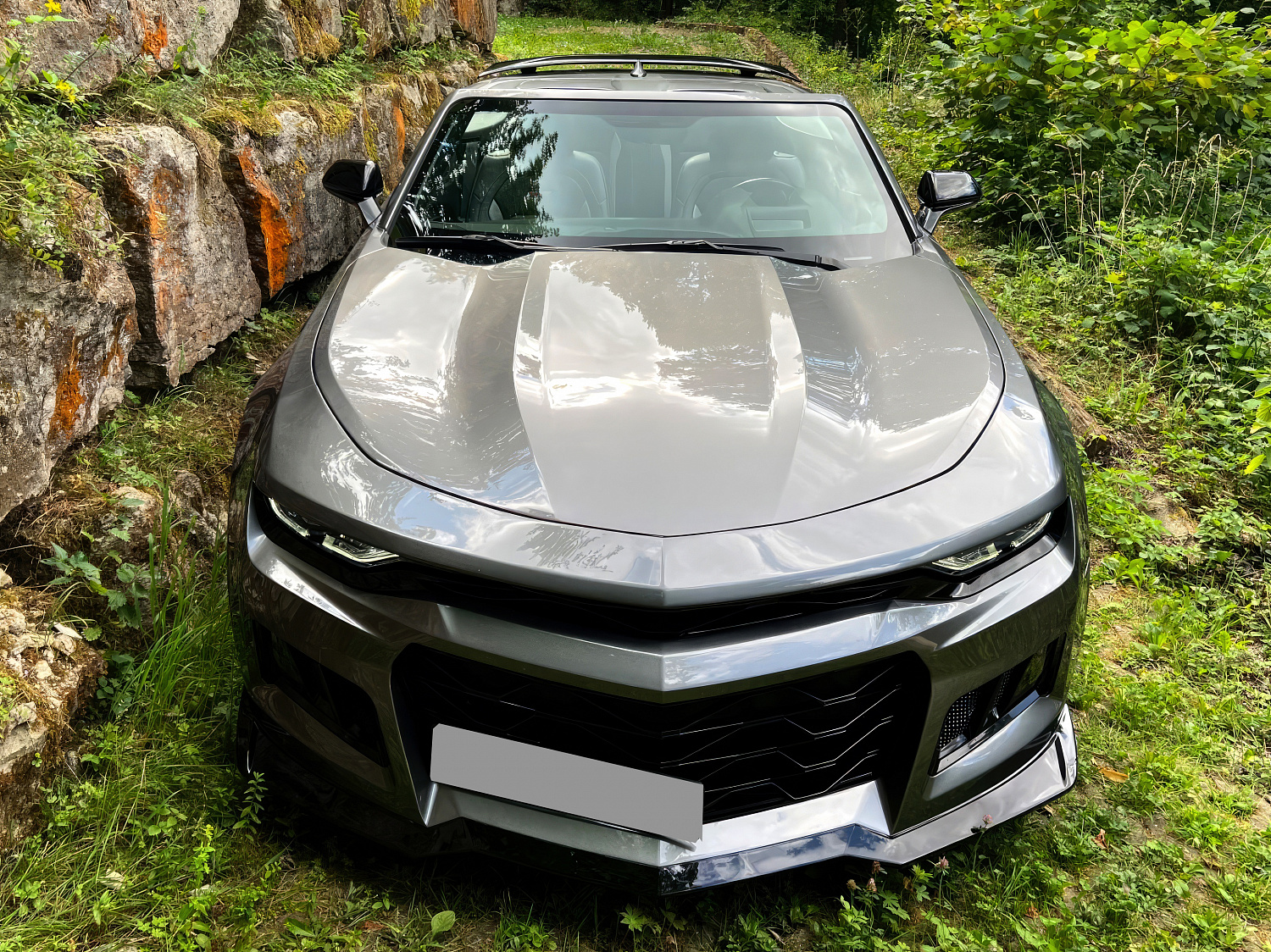 Chevrolet Camaro Серый